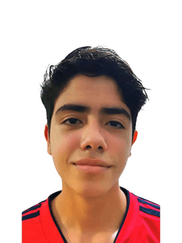 Avatar de Juan Diego  Ocanto Albornoz 