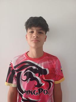 Avatar de Gustavo Alejandro  Ruiz Cachutt 