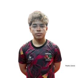 Avatar de Pedro ZARSA