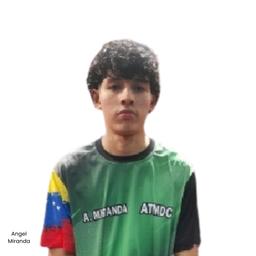 Avatar de Angel MIRANDA